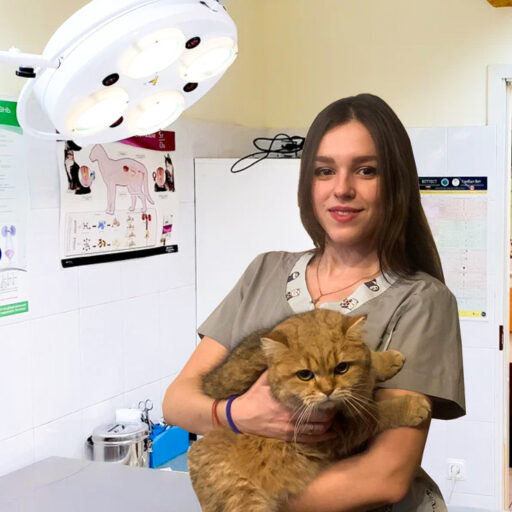 Ветеринарный госпиталь в Санкт-Петербурге
