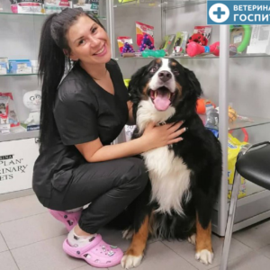 Ветеринарная клиника в Санкт-Петербурге