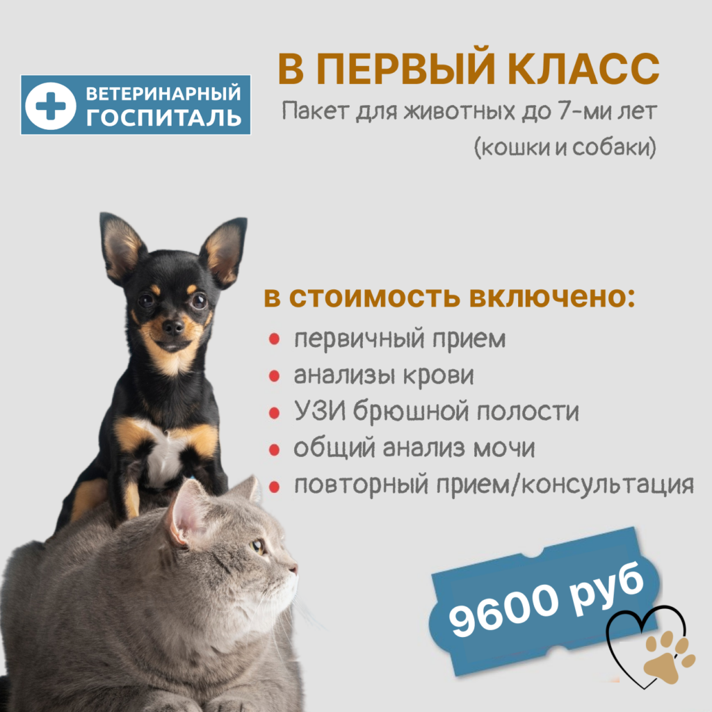 В ПЕРВЫЙ КЛАСС!