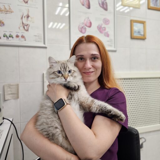 Ветеринарная клиника СПб