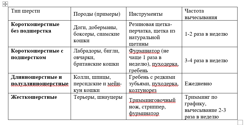 Осенний уход за шерстью: как правильно ухаживать за шерстью домашних животных осенью 2 Осенний уход за шерстью: как правильно ухаживать за шерстью домашних животных осенью