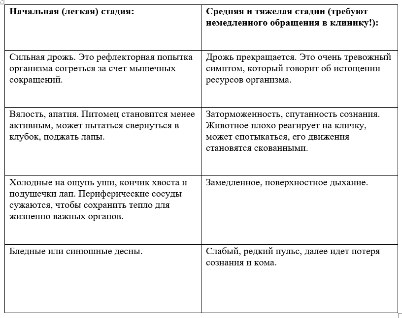 Тепловой стресс осенью: как защитить питомца от переохлаждения 2 Тепловой стресс осенью: как защитить питомца от переохлаждения