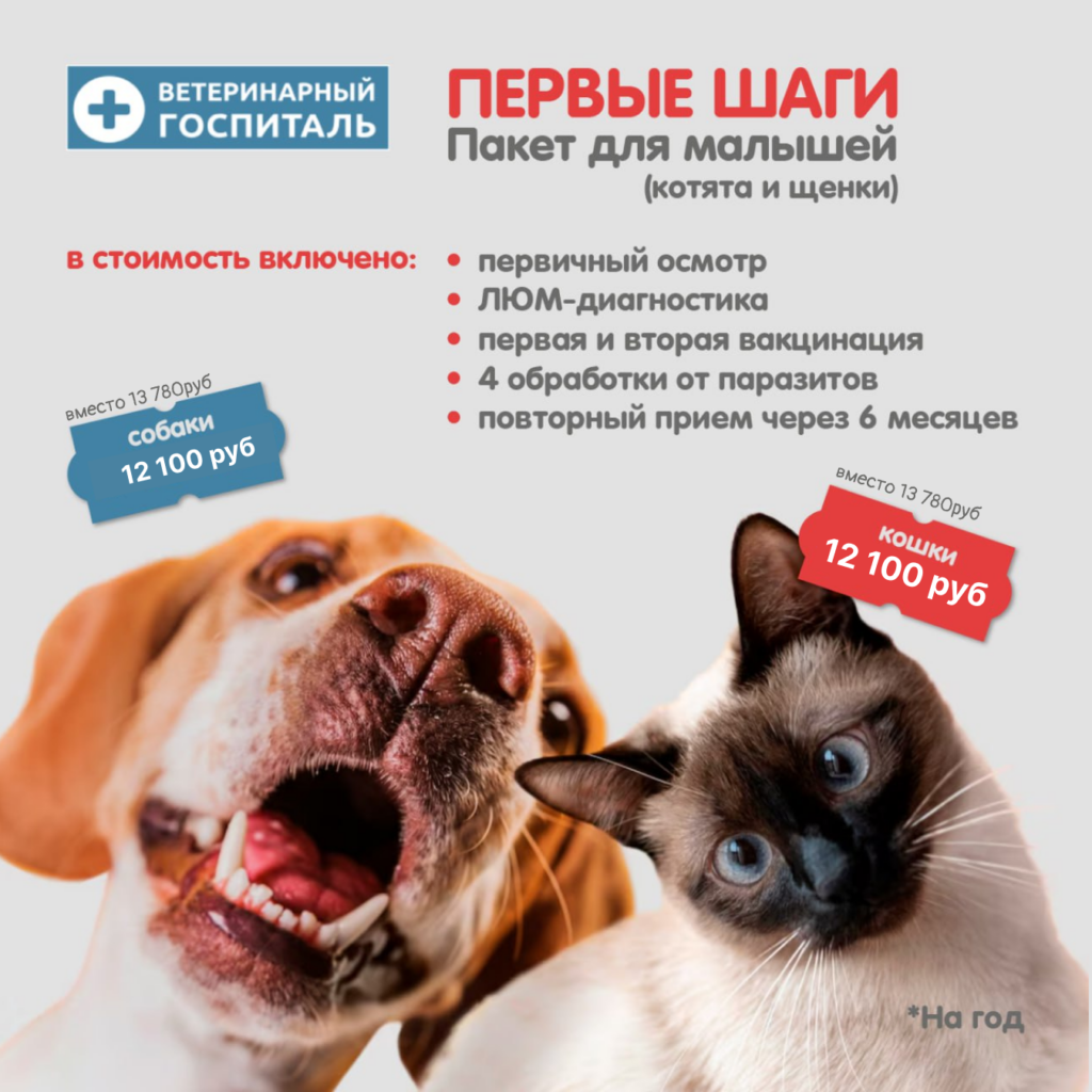 Акционный пакет для котят и щенков