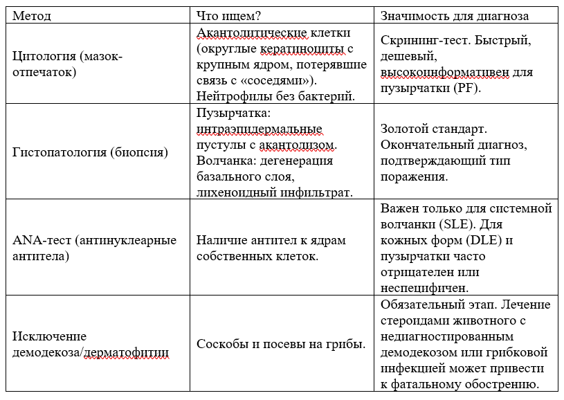 Аутоиммунные дерматозы у мелких домашних животных: этиология, патогенез и клинические признаки