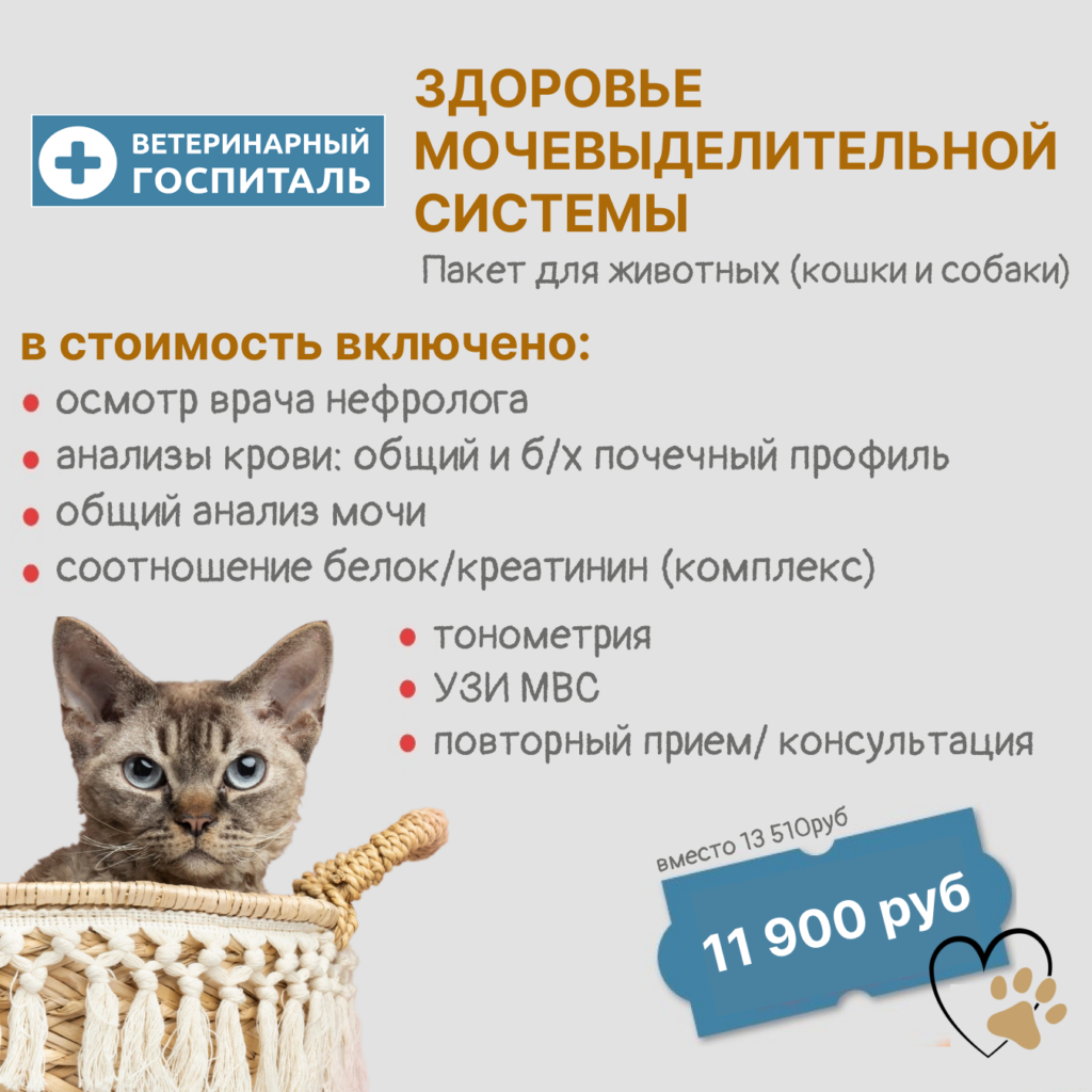 ЗДОРОВЬЕ МОЧЕВЫДЕЛИТЕЛЬНОЙ СИСТЕМЫ