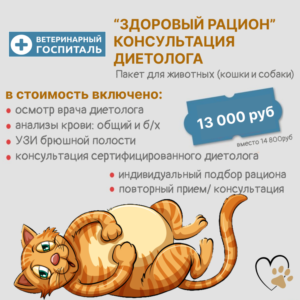 Здоровый рацион