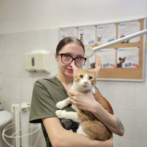 Ветеринарная клиника СПб