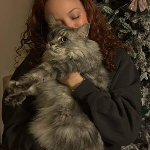 Ветеринарная клиника СПб